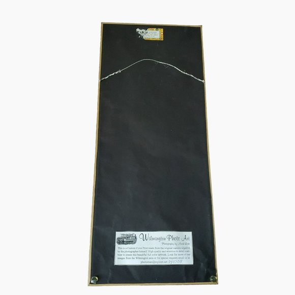 Art Print, Framed Matted Signed, Mark Losh Photography, Dry Falls NC Waterfall - Picture 6 of 8